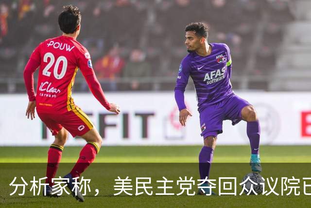 分析家称，美民主党夺回众议院已是板上钉钉，夺取参议院非常现实