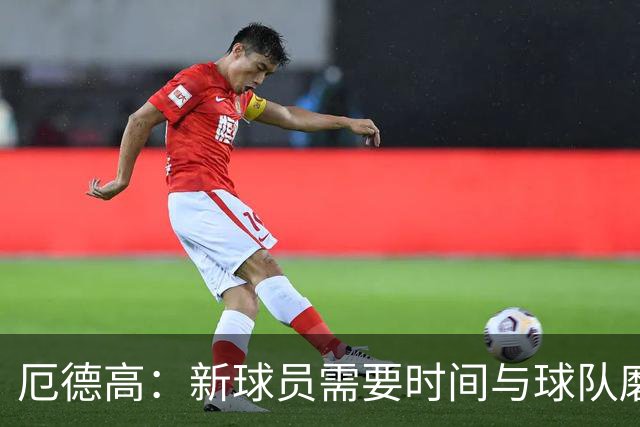 厄德高：新球员需要时间与球队磨合，我们每周都在变得更好