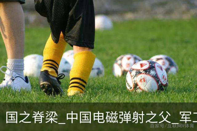 国之脊梁 中国电磁弹射之父 军工奇才 马伟明院士