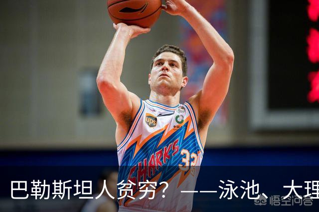 巴勒斯坦人贫穷？——泳池、大理石与数千平米的豪宅，印证了国际社会报道的偏颇