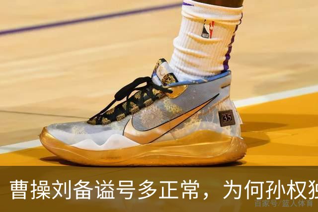 曹操刘备谥号多正常，为何孙权独享“大帝”？这背后是一盘大棋