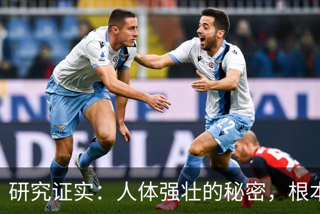 研究证实：人体强壮的秘密，根本不是肌肉！而是这几样东西