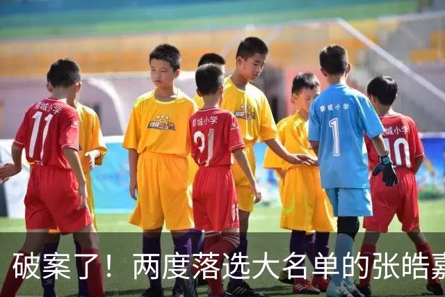 破案了！两度落选大名单的张皓嘉，凭什么被广东新帅重新启用