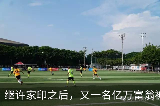 继许家印之后，又一名亿万富翁被判了，损害民众、劣迹斑斑