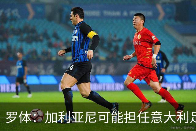 罗体：加利亚尼可能担任意大利足协托管人