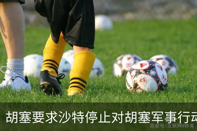 胡塞要求沙特停止对胡塞军事行动