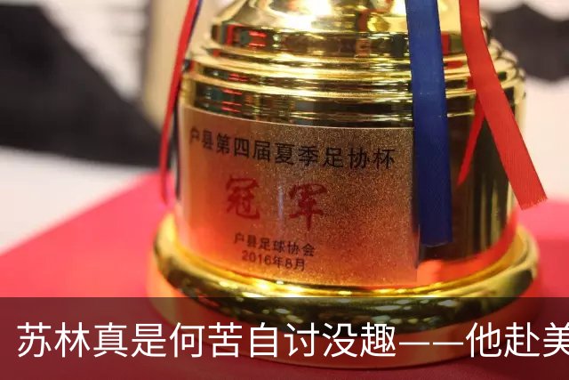 苏林真是何苦自讨没趣——他赴美出席联大会议，本想学一学大国外交，谁知刚在美国议员的会客室里落座，气氛立刻就变了味