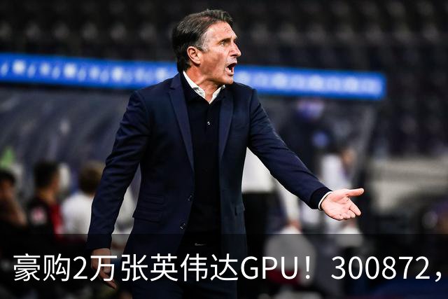 豪购2万张英伟达GPU！300872，股价大涨