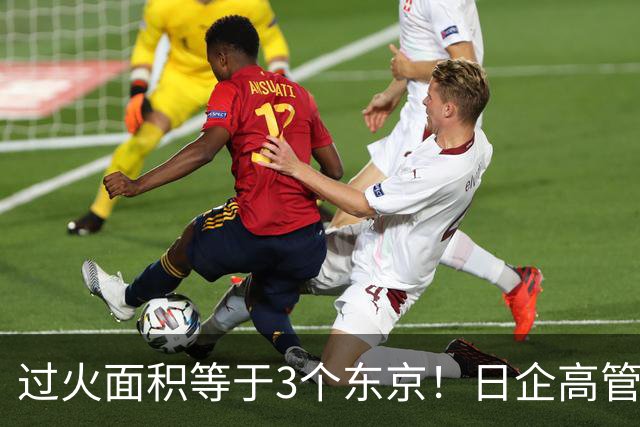 过火面积等于3个东京！日企高管引燃边境草原大火，日媒集体沉默
