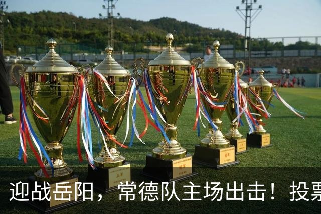 迎战岳阳，常德队主场出击！投票赢桃花源门票，一起为热爱加油