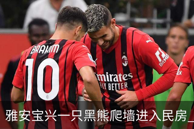 雅安宝兴一只黑熊爬墙进入民房 林业部门：事发城郊，已捕获将选偏远地方放归