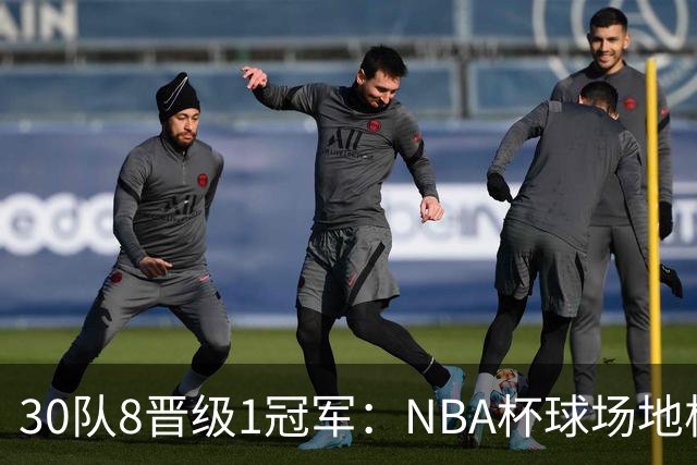 30队8晋级1冠军：NBA杯球场地板公布，猛龙主场竟是灰色