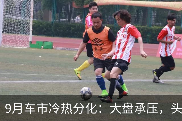 9月车市冷热分化：大盘承压，头部车企继续走强