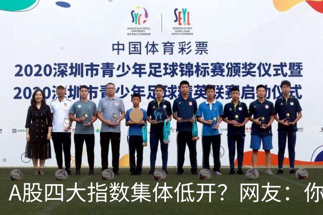 A股四大指数集体低开？网友：你不赌我不赌，谁来单手开路虎，干就完了