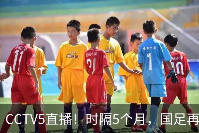 CCTV5直播！时隔5个月，国足再组最强阵容，张玉宁取代韦世豪，目标=终结三连败